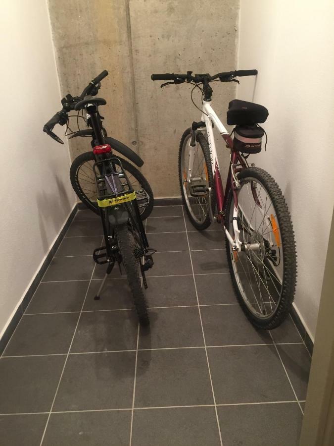 Apartman “U Nas V Podkrovi“ V Rezidenci Klostermann, Zelezna Ruda 24 מראה חיצוני תמונה